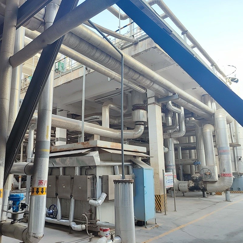 Caustic Soda Electrolysis Plant Caustic Soda Electrolysis Plant